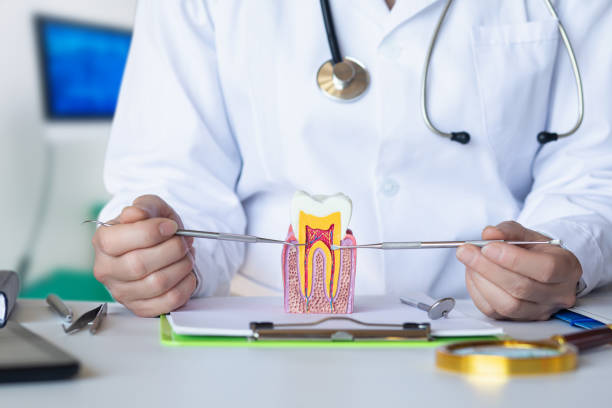 Best Emergency Treatment for Dental Infections or Abscesses in Huntgton, IN